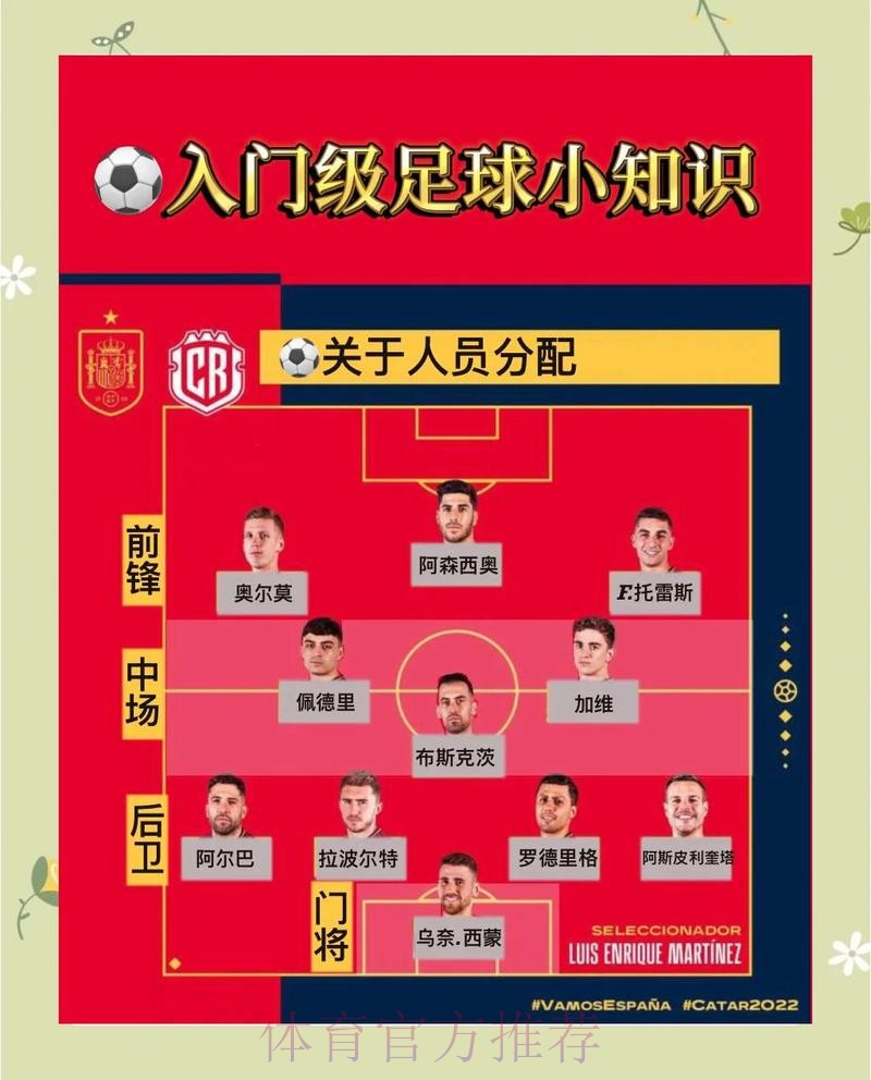 高清官方指南：世界杯滚球解析